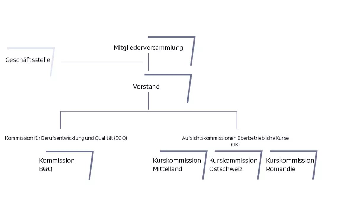 Organigramm FOMA organe