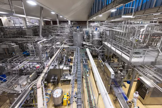 Lebensmittelproduktion